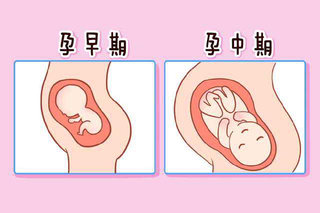北京做试管婴儿费用多少？北京做试管贵吗？