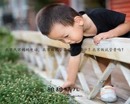 北京代怀妈妈电话，北京做试管婴儿费用多少？北京做试管贵吗？