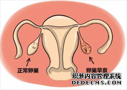 试管代孕流程需多久-有谁做过供卵试管代孕_有供卵代孕-哪里可以做试管代孕