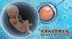 供卵试管的详细流程-试管代孕案例_供卵试管生子违法吗-找供卵试管的注意事项