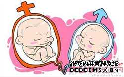 做供卵试管犯法吗-试管供卵试管中介可靠吗_中国现有多少试管代孕-做试管代孕