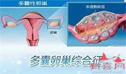 北京做供卵试管技术能包生男孩是真的吗