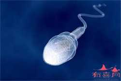 北京省精子库标准,北京单身女性精子库