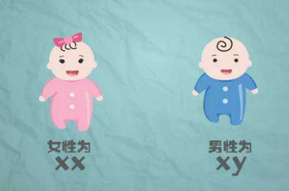 北京人工授精医院排名，2022助孕费用及成功率公布