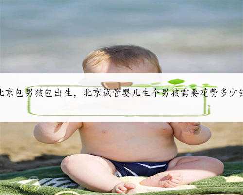北京包男孩包出生，北京试管婴儿生个男孩需要花费多少钱