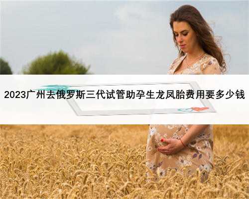 2023广州去俄罗斯三代试管助孕生龙凤胎费用要多少钱