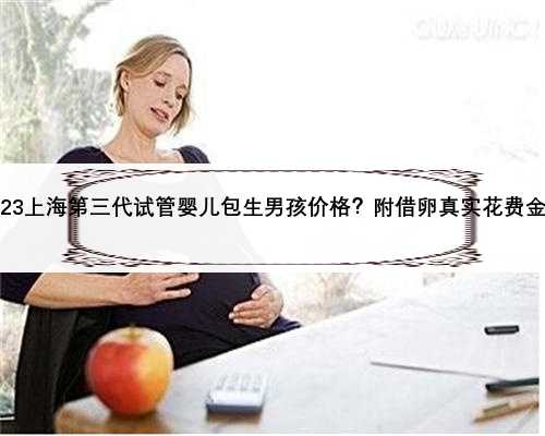 2023上海第三代试管婴儿包生男孩价格？附借卵真实花费金额